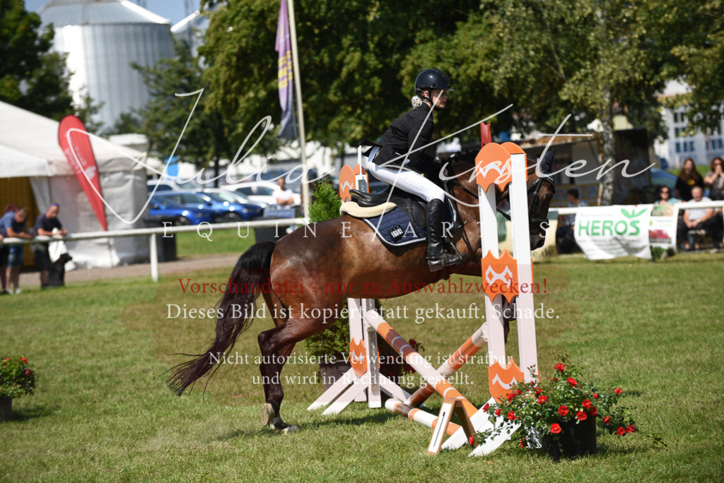 DSC_9917 | Pferde- und Turnierfotografie in Westsachsen. Pferdeportraits, Auftragszeichnungen und intuitive Kunst.