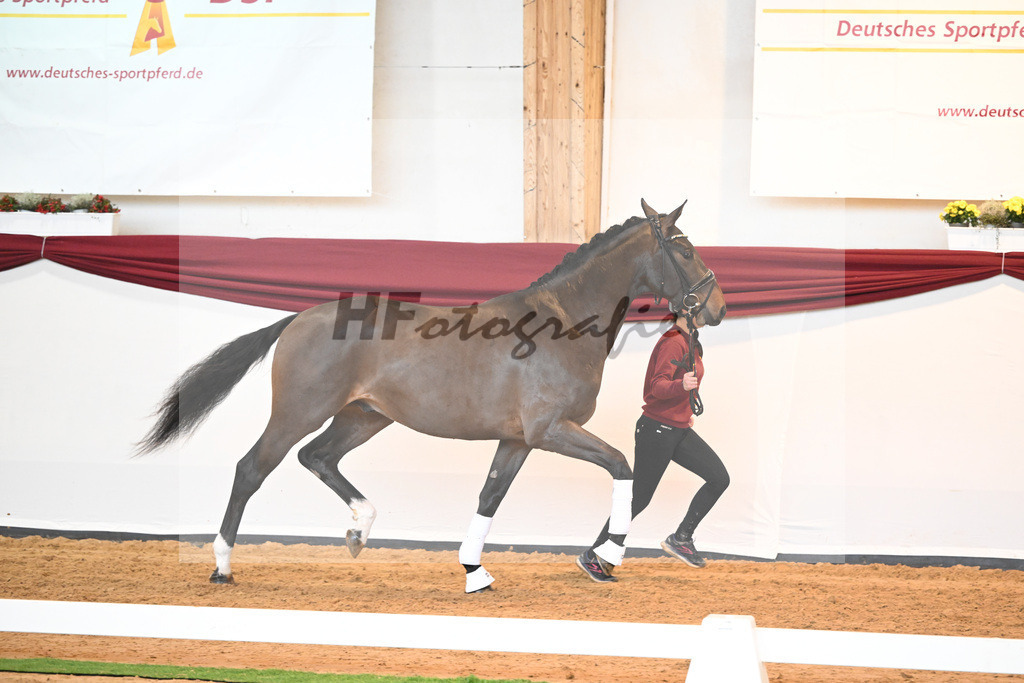 Kat-Nr. 43 v. Mykonos_Sommer_66220922 | hf-fotografie - Realisiert mit Pictrs.com