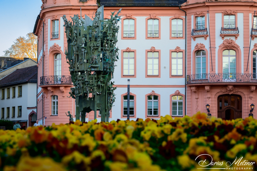 DSC_6849 | Fotografien, Fotos und Bilder aus Mainz, Frankfurt, Wiesbaden und anderen Orten auf der Welt - Fotografiert von Darius Metzner