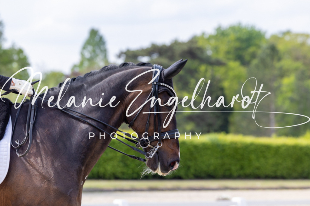 7I8A1189 | melanie-engelhardt-photography - Realisiert mit Pictrs.com