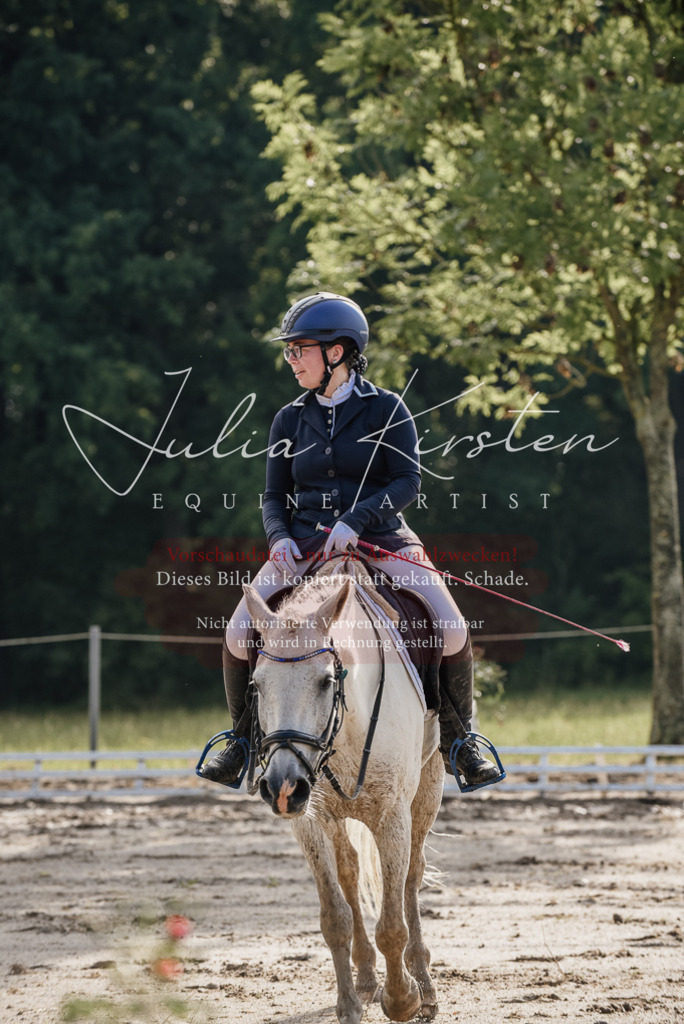 DSC_8074 | Pferde- und Turnierfotografie in Westsachsen. Pferdeportraits, Auftragszeichnungen und intuitive Kunst.