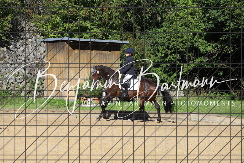 IMG_5185 | Benjamin Bartmann Photomoments