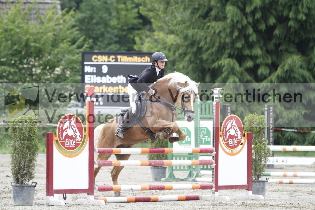 _MG_6413 | equestrian-live-com
