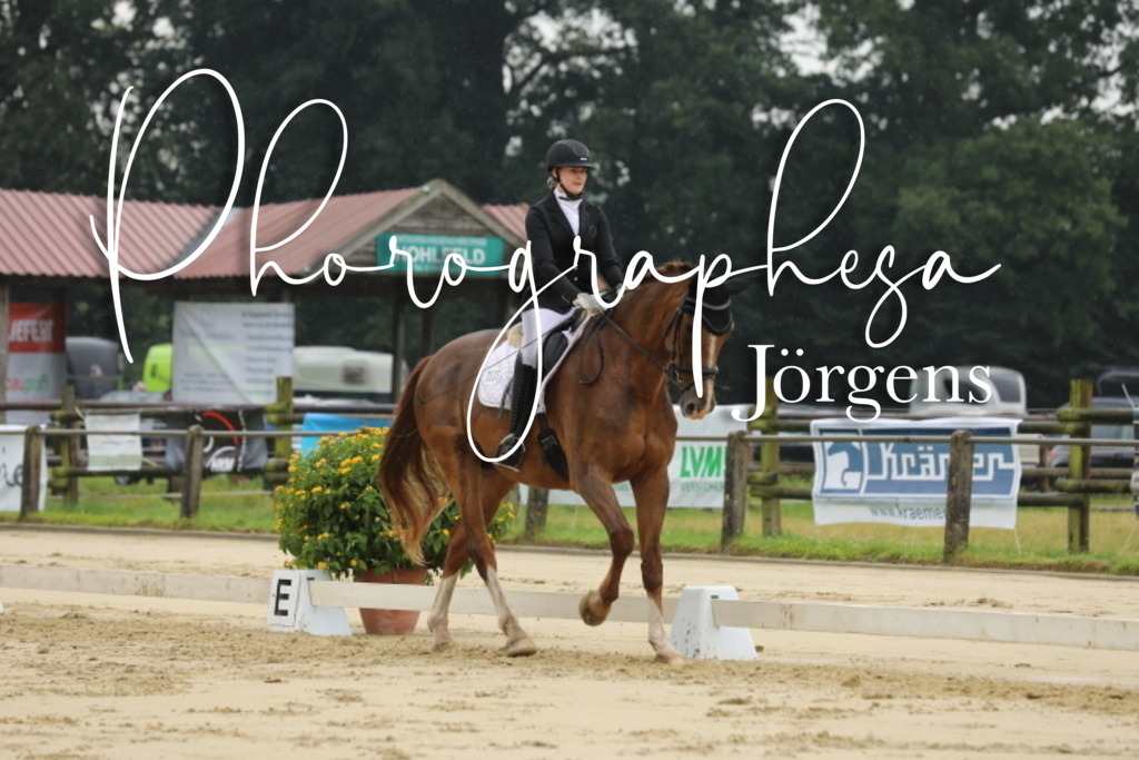 IMG_4993 | photographesa-joergens - Realisiert mit Pictrs.com