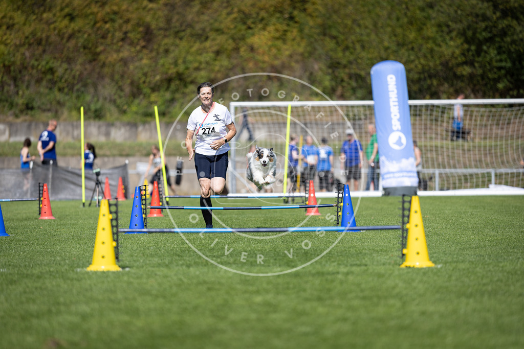 Pfotenfotografie_DV3A6915 | Hundefotografie, Tierfotograf, Pfotenfotografie, Fotoshooting Hund, Hunde Portrait, Hundesport, Hundeportraits, Heideshooting, Hunde, Sportfotograf, Hundefotograf, Turnierhundsport, THS,  - Realisiert mit Pictrs.com