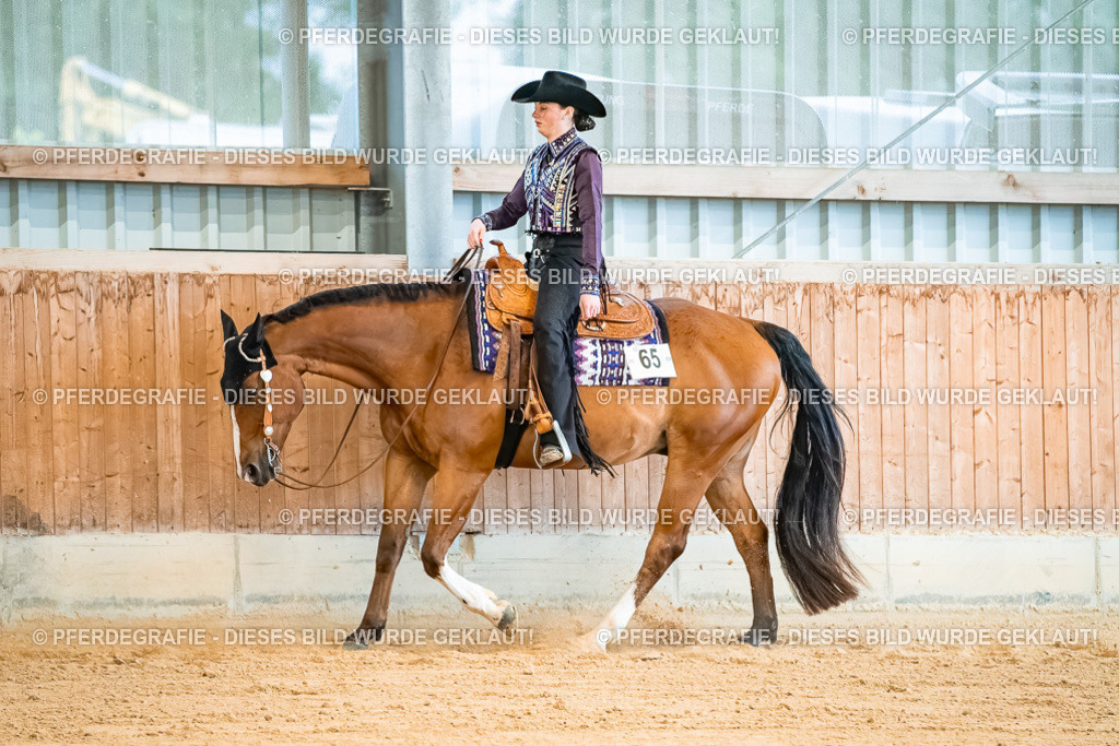 DSC00003 | Pferdegrafie