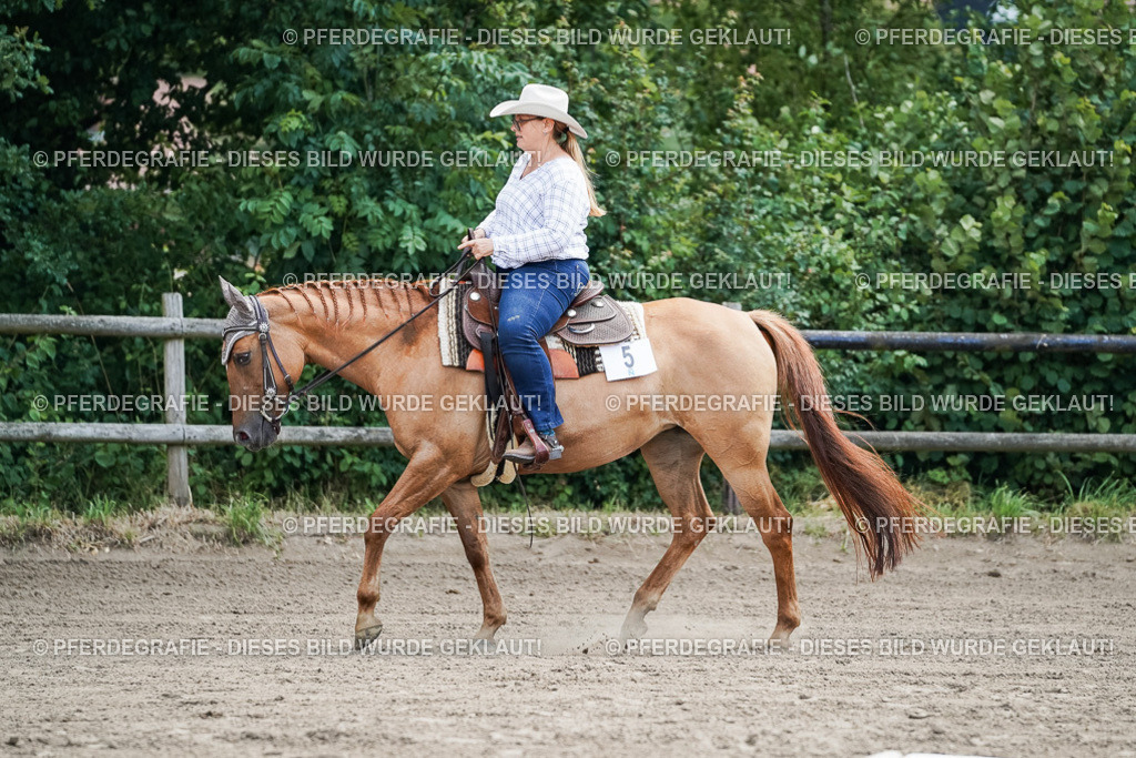 DSC05935 | Pferdegrafie