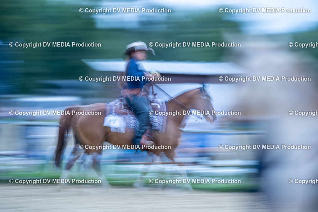 LM Heiligenwald Tag 2-2731 | dv-media-shop - Realisiert mit Pictrs.com