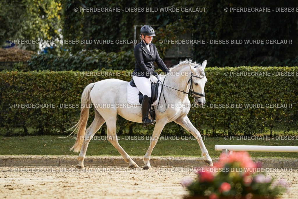 DSC04342 | Pferdegrafie