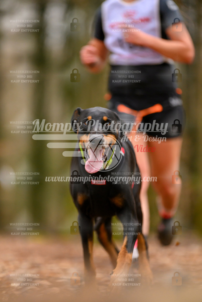 MompixPhotography_Habay2024_SA_Fun-32 | PayLife