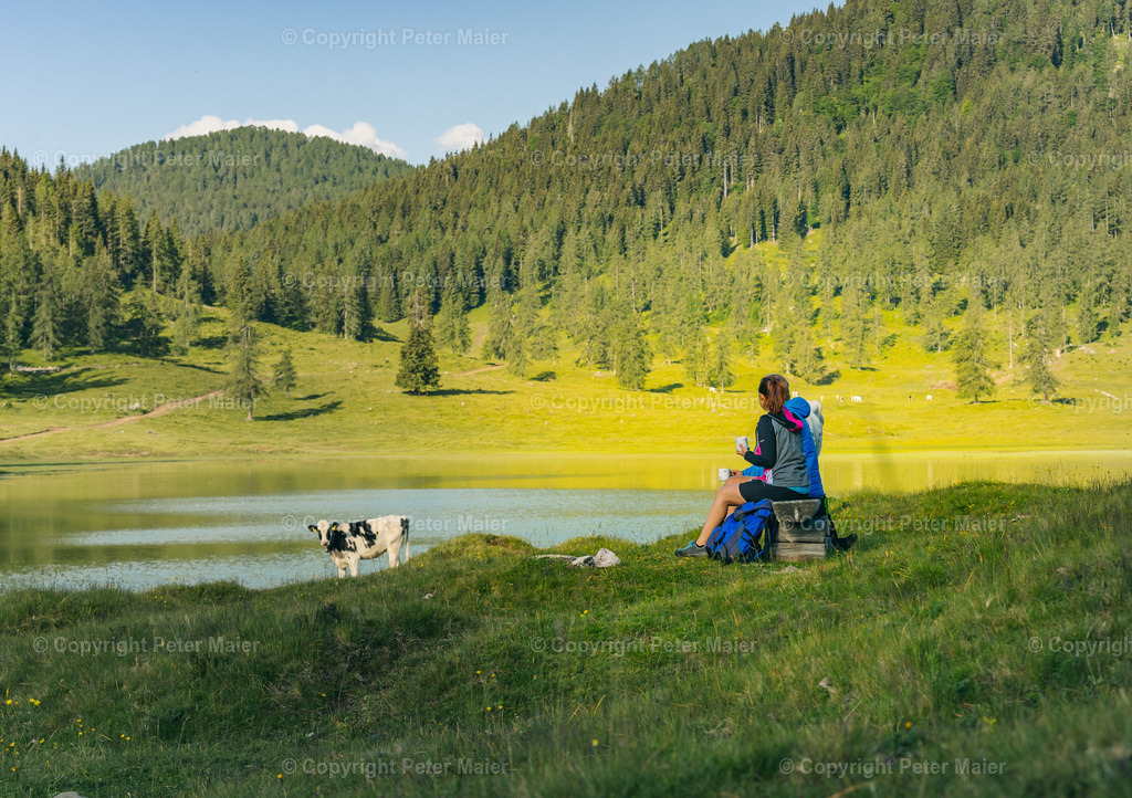 Wandern_Karnische_Milchstrasse_2020-33 | piet_flosse