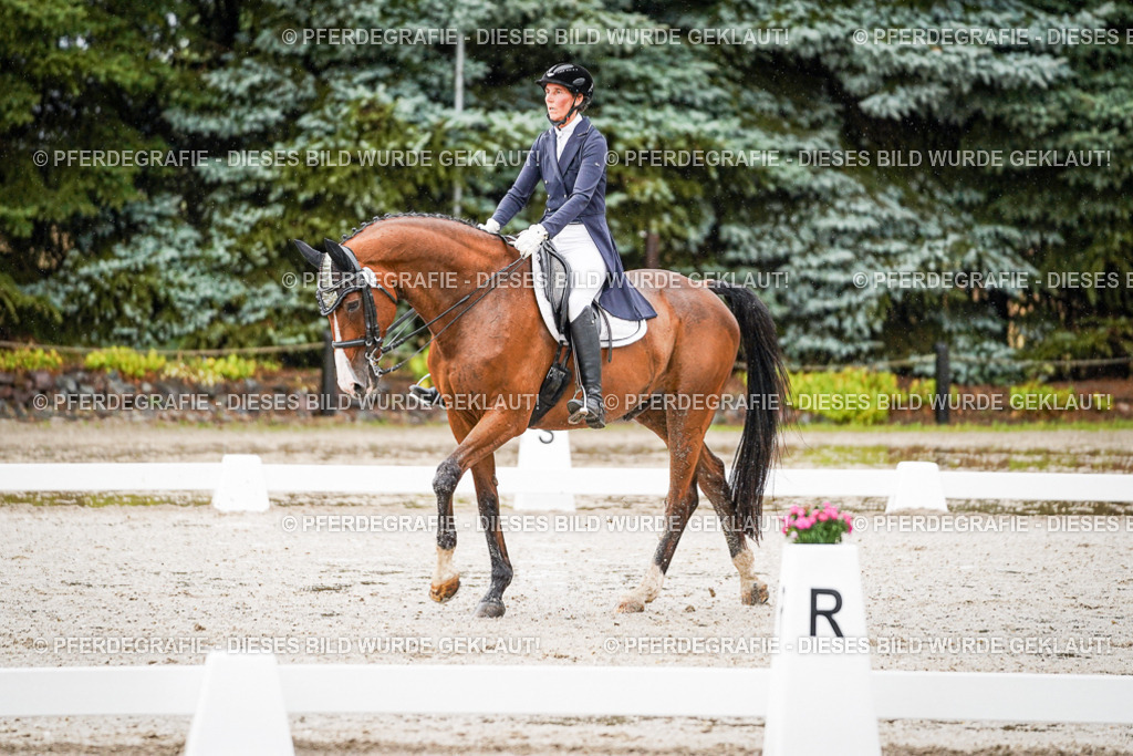 DSC08607 | Pferdegrafie