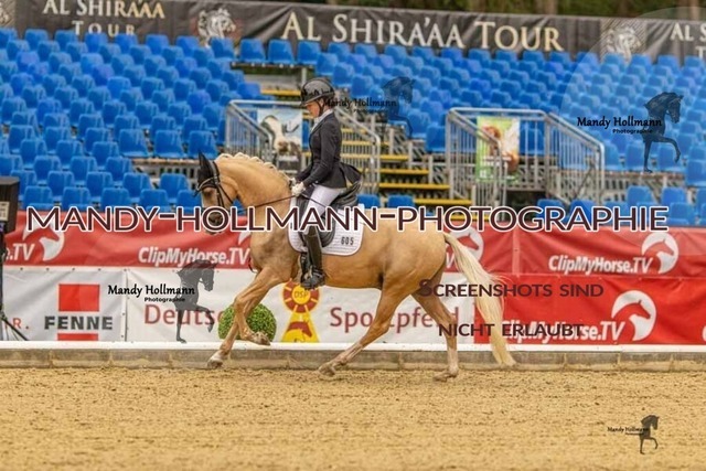 28-8-26 5j DRE-511 | mandyhollmannphotographie