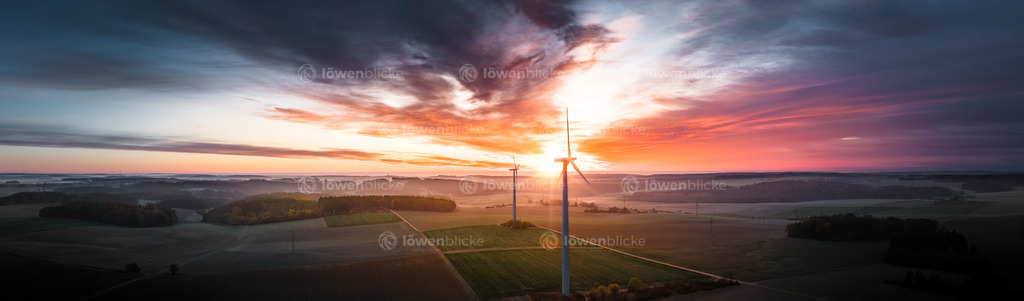 Windräder hinter Waldhausen bei Sonnenaufgang | löwenblicke | shop