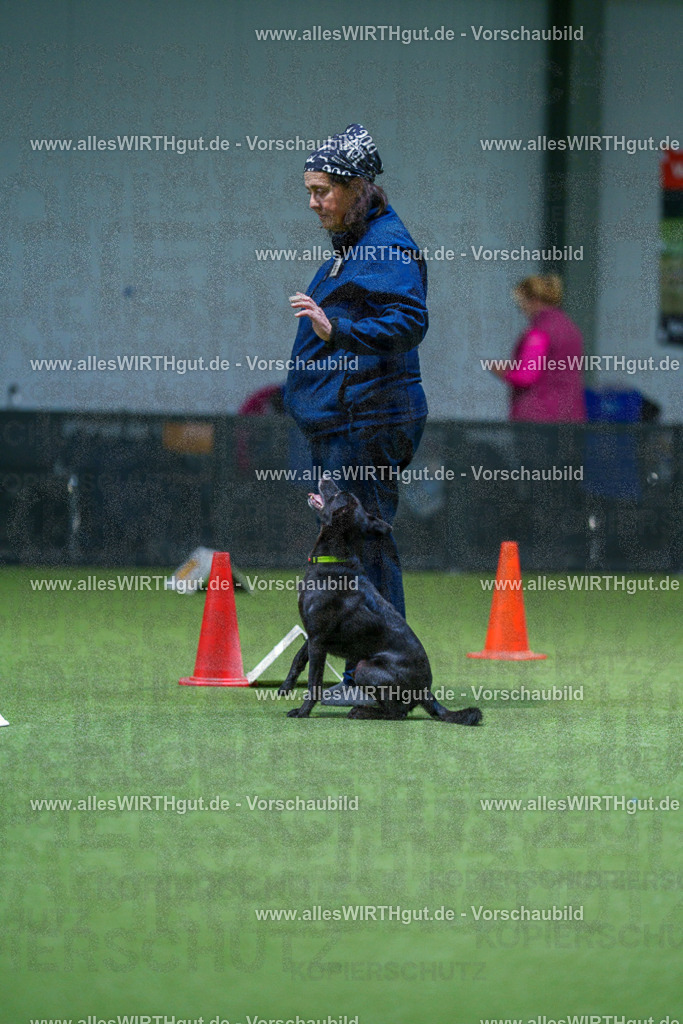 7R505981 | Professionelle Tierfotografie in Mönchengladbach von Daniel Wirth (allesWIRTHgut). Liebevolle & natürliche Bilder von Hunden & Katzen für unvergessliche Erinnerungen.