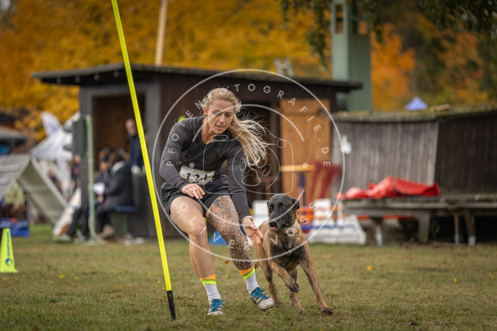 Pfotenfotografie_DV3A6756 | Hundefotografie, Tierfotograf, Pfotenfotografie, Fotoshooting Hund, Hunde Portrait, Hundesport, Hundeportraits, Heideshooting, Hunde, Sportfotograf, Hundefotograf, Turnierhundsport, THS,  - Realisiert mit Pictrs.com