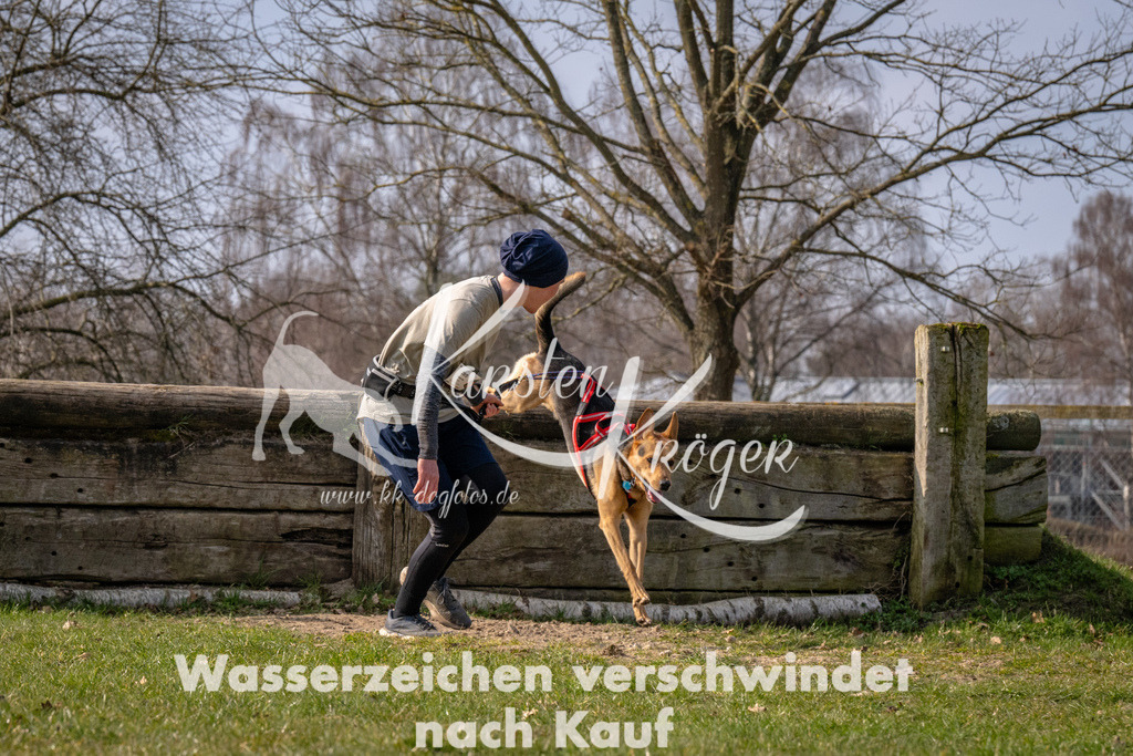 _ZZ90311 | kk-dogfotos