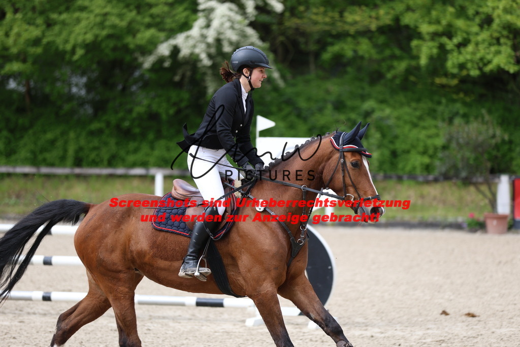 A40A1560 | lmwpictures - Realisiert mit Pictrs.com