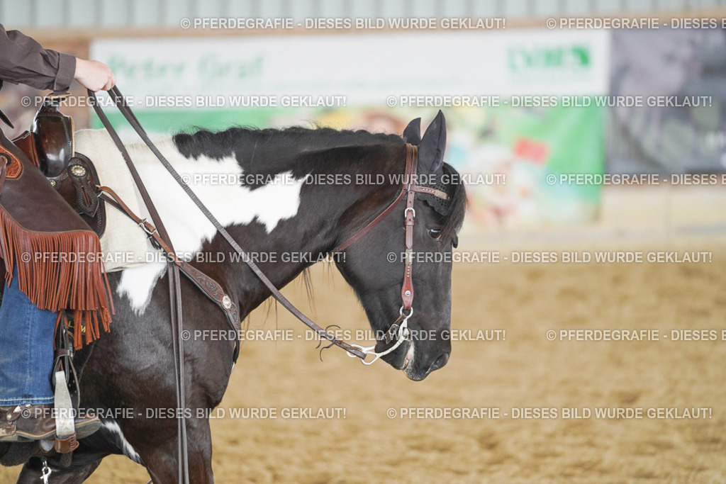 DSC04765 | Pferdegrafie