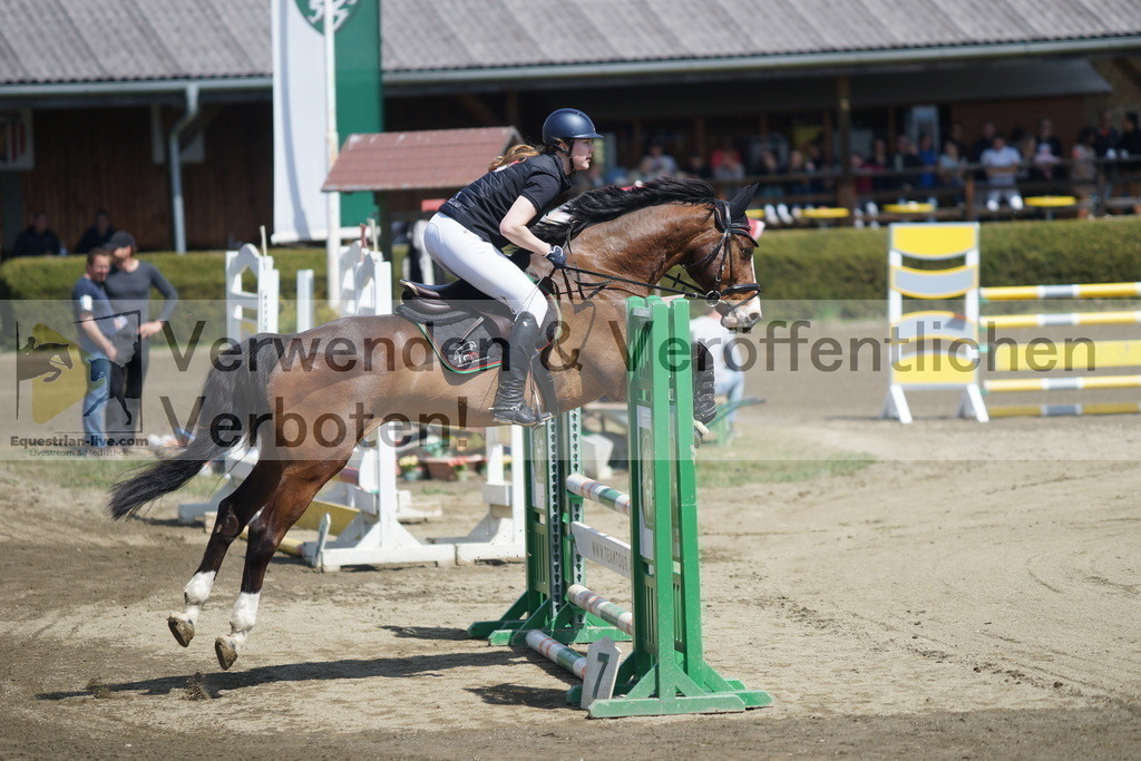 DSC02774 | equestrian-live-com