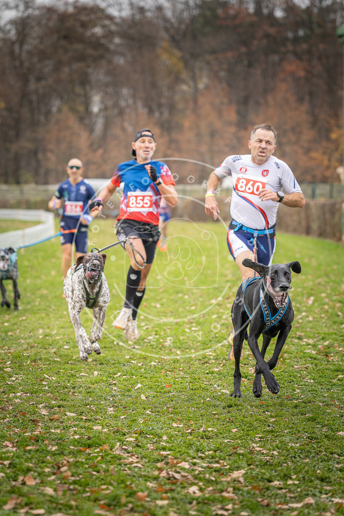 CaniXpix_DV3A6632 | Hundefotografie, Tierfotograf, Pfotenfotografie, Fotoshooting Hund, Hunde Portrait, Hundesport, Hundeportraits, Heideshooting, Hunde, Sportfotograf, Hundefotograf, Turnierhundsport, THS,  - Realisiert mit Pictrs.com