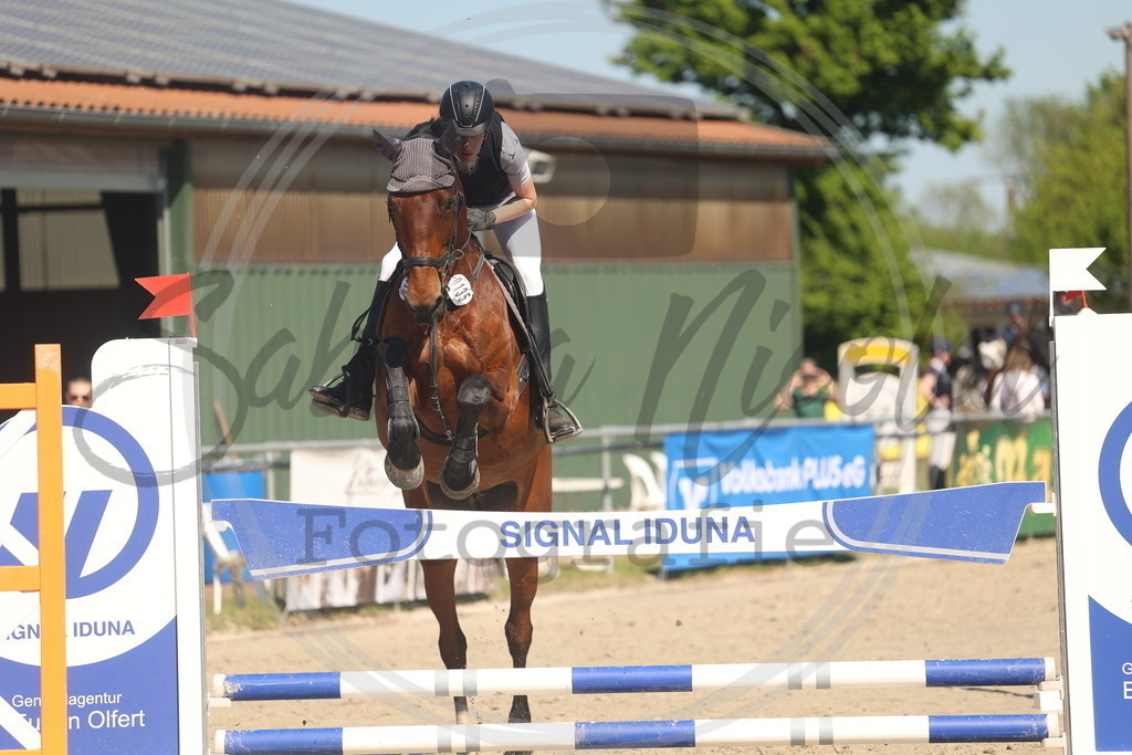 994A6046 | sabrinanicolaifotografie - Realisiert mit Pictrs.com