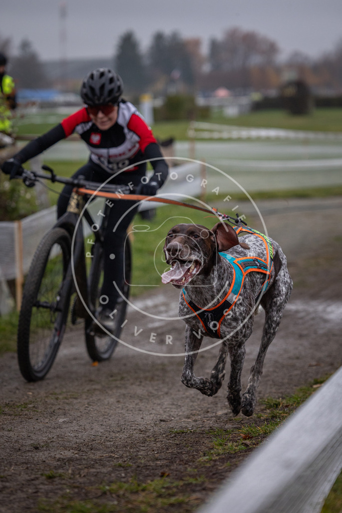 CaniXpix_0L8A1222 | Hundefotografie, Tierfotograf, Pfotenfotografie, Fotoshooting Hund, Hunde Portrait, Hundesport, Hundeportraits, Heideshooting, Hunde, Sportfotograf, Hundefotograf, Turnierhundsport, THS,  - Realisiert mit Pictrs.com