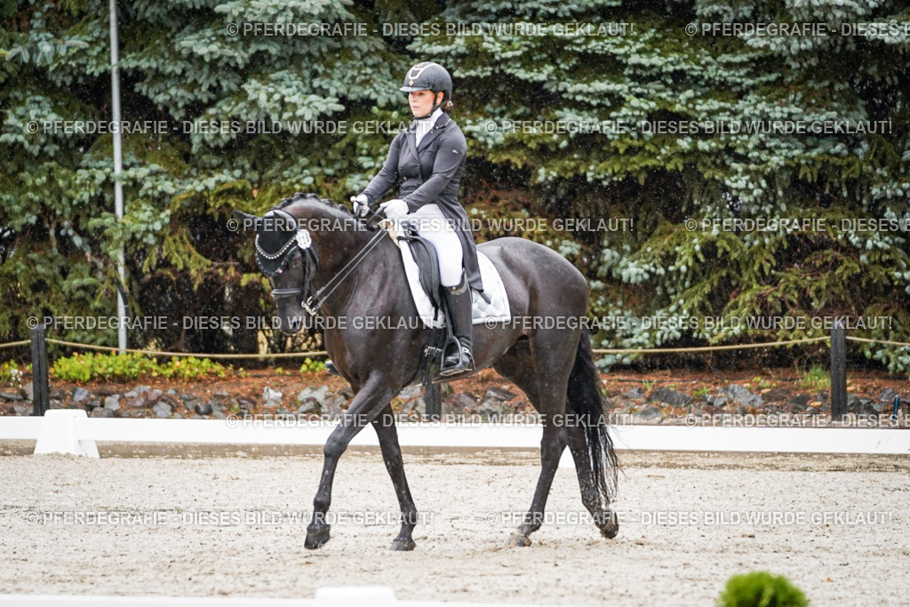 DSC08405 | Pferdegrafie