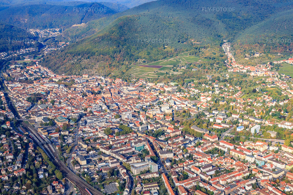 Luftbild: Altstadt von Osten in Neustadt an der Weinstraße im Bundesland Rheinland-Pfalz in Deutschland. Foto: IMG_22077.jpg vom 15.10.2009 durch Werner Riehm/FLY-FOTO.de