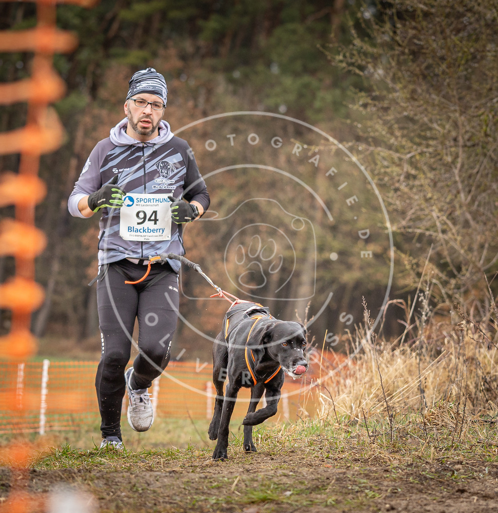 DV3A0505 | Hundefotografie, Tierfotograf, Pfotenfotografie, Fotoshooting Hund, Hunde Portrait, Hundesport, Hundeportraits, Heideshooting, Hunde, Sportfotograf, Hundefotograf, Turnierhundsport, THS,  - Realisiert mit Pictrs.com