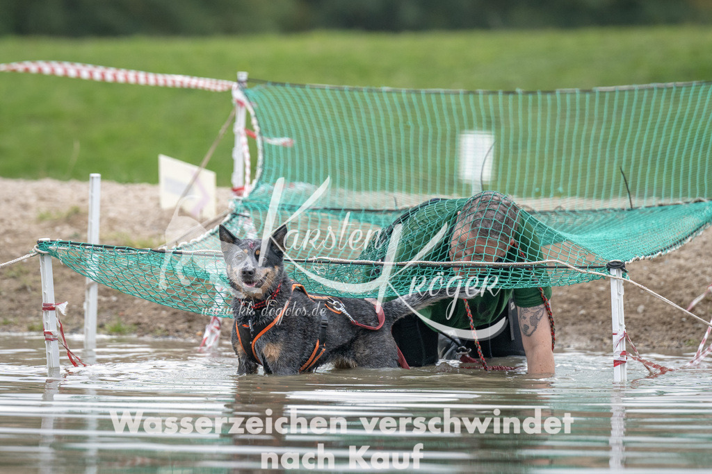 1506_ZZ93087 | kk-dogfotos