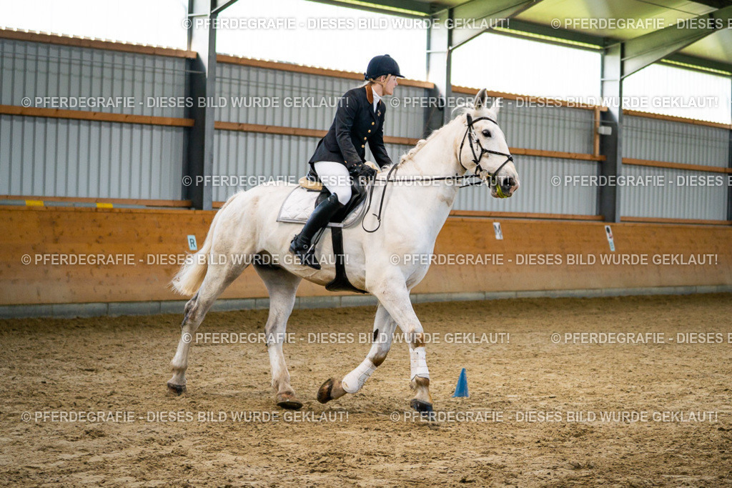 DSC00724 | Pferdegrafie