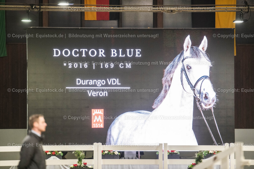 20240302_Hengstvorstellung_Marbach_TOMsPiC_1391-2 | equistock