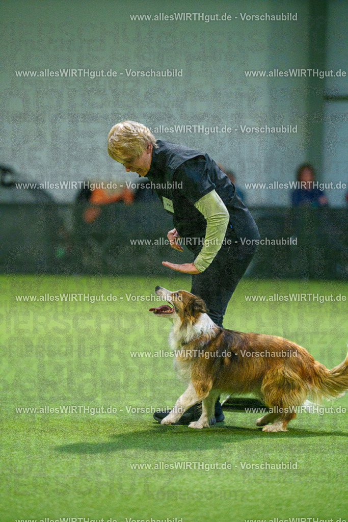 7R509735 | Professionelle Tierfotografie in Mönchengladbach von Daniel Wirth (allesWIRTHgut). Liebevolle & natürliche Bilder von Hunden & Katzen für unvergessliche Erinnerungen.