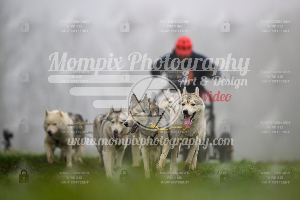 MompixPhotography_CDF2023_FFST_Di_Kart-93 | PayLife