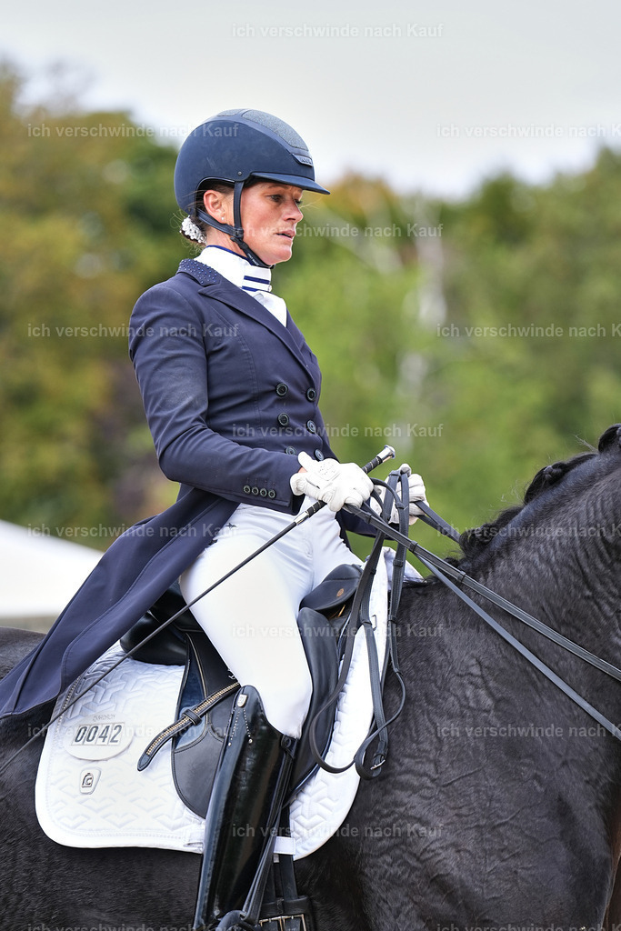 11-042-Dressur S___-StoibPH-1169 | working equitationturnier fotograf videograf stoibphotography marixx film working equitation deutschland reitsport turnierfotografie eventfotografie equestrian events