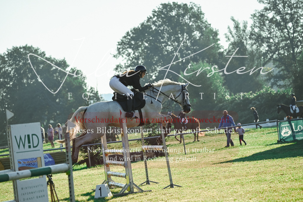 DSC_4033 | Pferde- und Turnierfotografie in Westsachsen. Pferdeportraits, Auftragszeichnungen und intuitive Kunst.