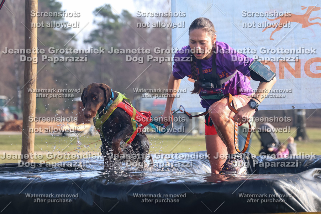 Dog Paparazzi - Strongdog North Mrz26-1058 | Dog Paparazzi Jeanette Grottendiek Fotografie & Videografie - Realisiert mit Pictrs.com