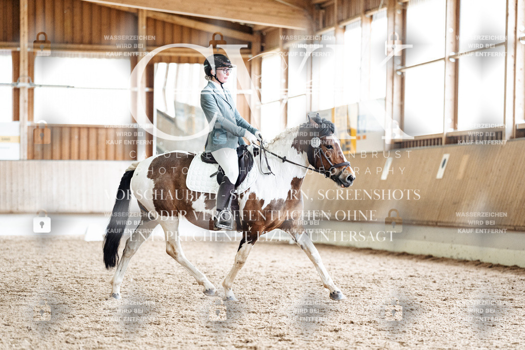 CK901050 | Turnierfotografie Pferdefotografie Trier Rheinland-Pfalz Pferdesport Reitsport Tierfotografie Sportfotografie Pferdevideo Pferdevideografie Equestrianvideography equestrianphotography  - Realisiert mit Pictrs.com
