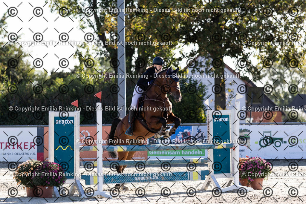 CL5A1190 | Emilia Reinking Fotografie - Realisiert mit Pictrs.com