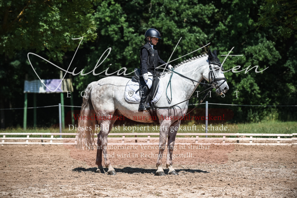 DSC_3133 | Pferde- und Turnierfotografie in Westsachsen. Pferdeportraits, Auftragszeichnungen und intuitive Kunst.