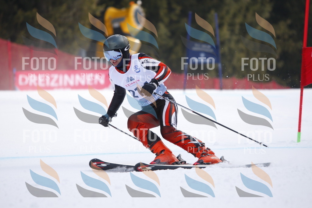 D8295 | holidayphoto