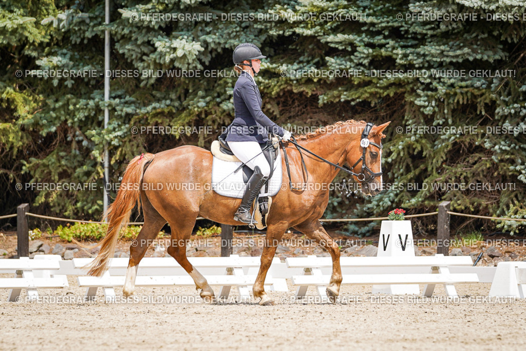 DSC03329 | Pferdegrafie