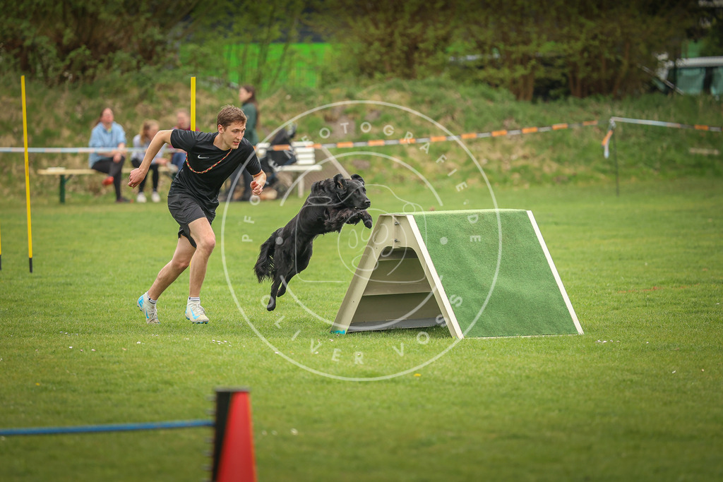 Pfotenfotografie_0L8A1460 | Hundefotografie, Tierfotograf, Pfotenfotografie, Fotoshooting Hund, Hunde Portrait, Hundesport, Hundeportraits, Heideshooting, Hunde, Sportfotograf, Hundefotograf, Turnierhundsport, THS,  - Realisiert mit Pictrs.com