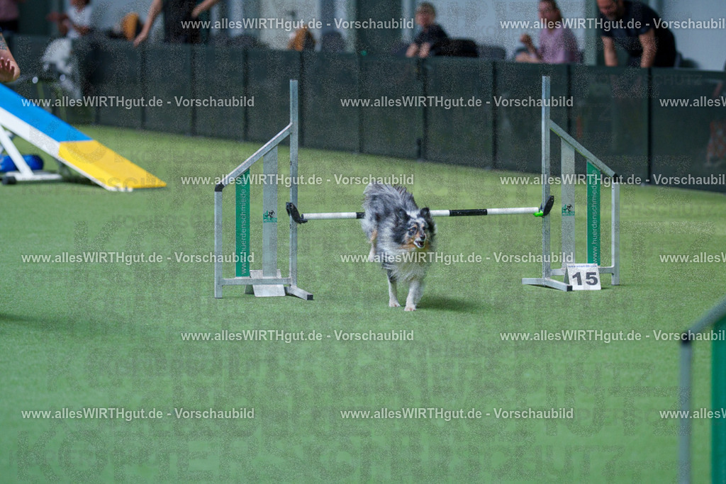@allesWIRTHgut_Tierfotografie - www.allesWIRTHgut.de - 2604261458-7R504160 | Professionelle Tierfotografie in Mönchengladbach von Daniel Wirth (allesWIRTHgut). Liebevolle & natürliche Bilder von Hunden & Katzen für unvergessliche Erinnerungen.