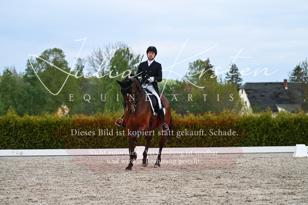 20230513_JK-Röhrsdorf-13-154 | Pferde- und Turnierfotografie in Westsachsen. Pferdeportraits, Auftragszeichnungen und intuitive Kunst.