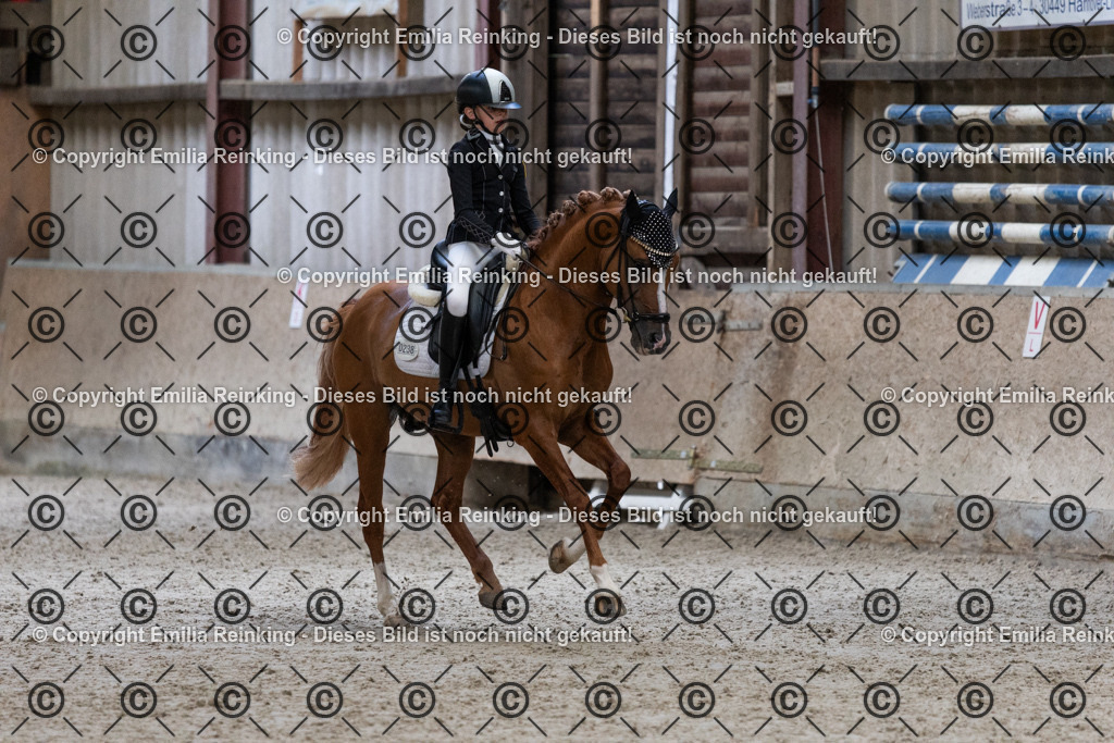 CL5A5270 | Emilia Reinking Fotografie - Realisiert mit Pictrs.com