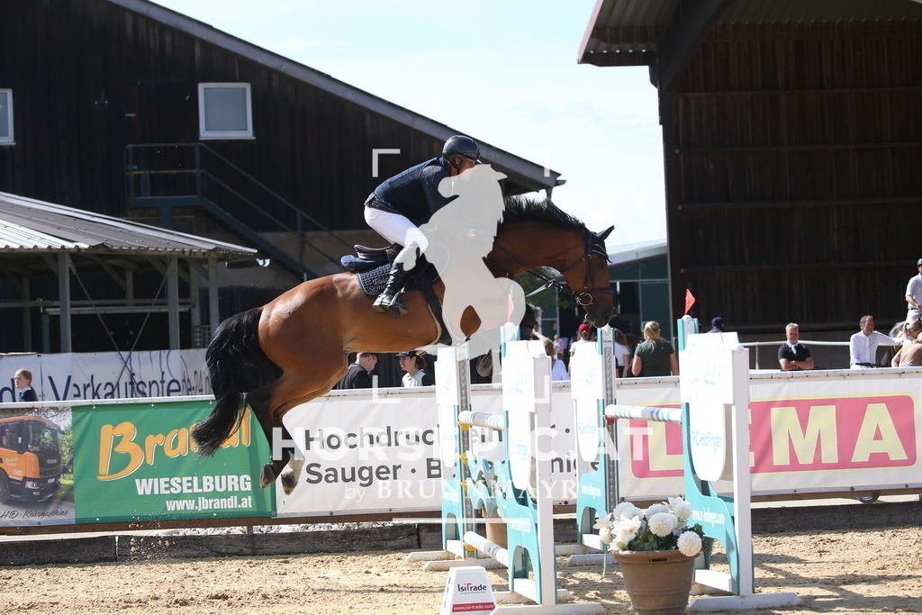 DL2Q3328 | Willkommen bei Brunnmayr - Design & Fotografie – Ihrem Spezialisten für Reitturniere und Pferdeveranstaltungen in Oberösterreich, Salzburg und Bayern! Seit über 17 Jahren sind wir leidenschaftlich dabei.