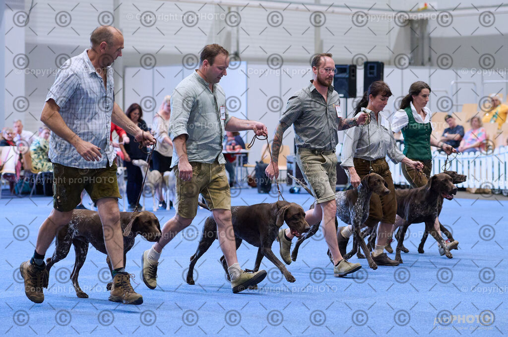 202406_ÖKV-IHA-Tulln24_DSC_3763 | proPHOTO - Realisiert mit Pictrs.com