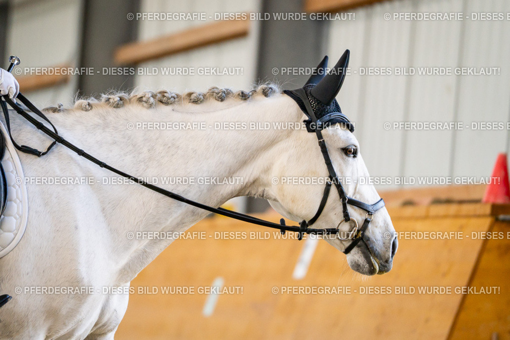 DSC06281 | Pferdegrafie